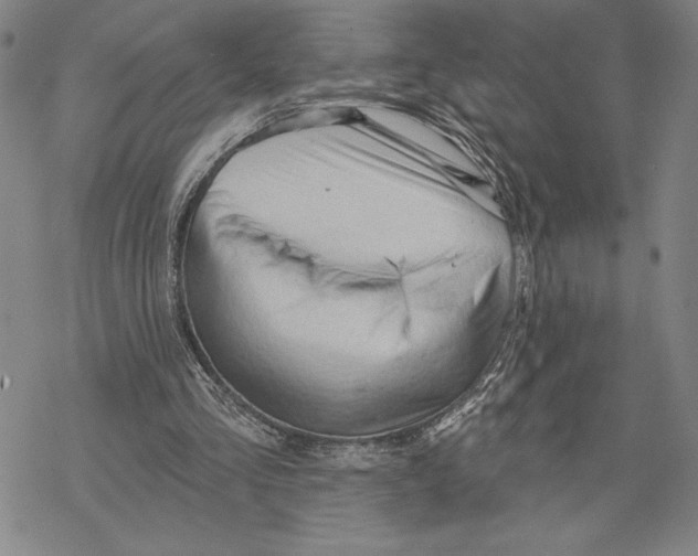 X0000068770293200605191655