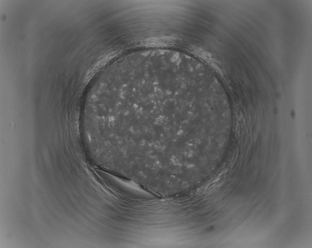 X0000068770299200605191655