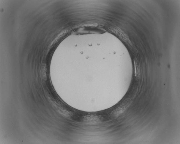 X0000068770300200605191655