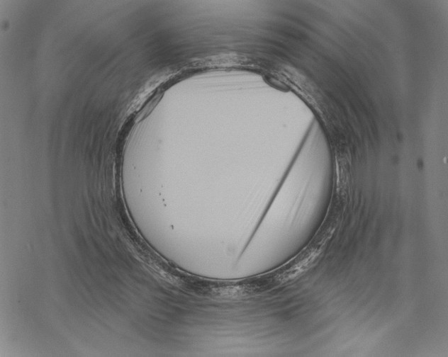 X0000068770301200605191655