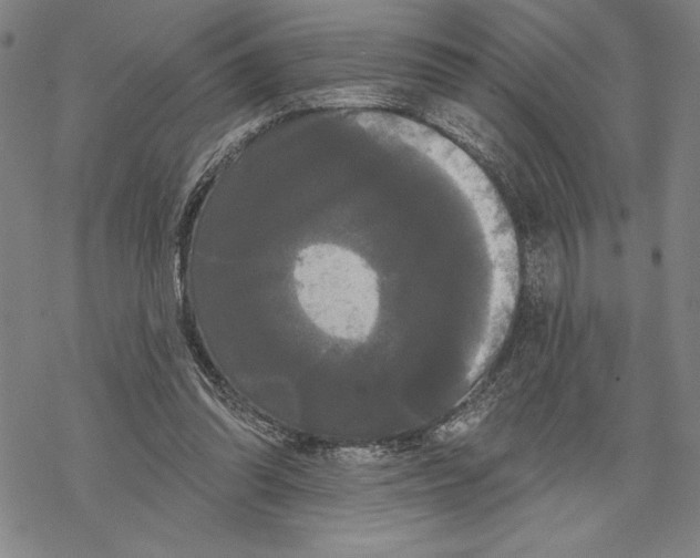 X0000068770302200605191655