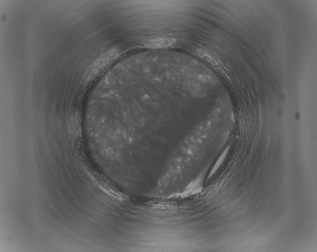 X0000068770303200605191655