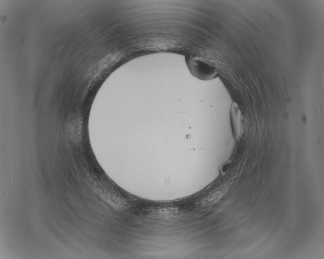 X0000068770304200605191655