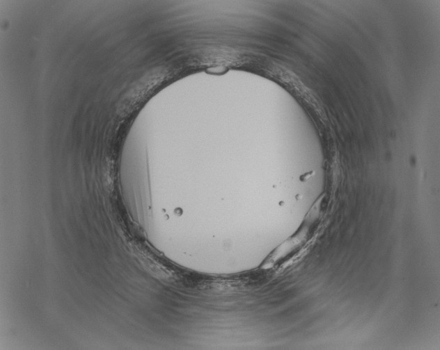 X0000068770305200605191655