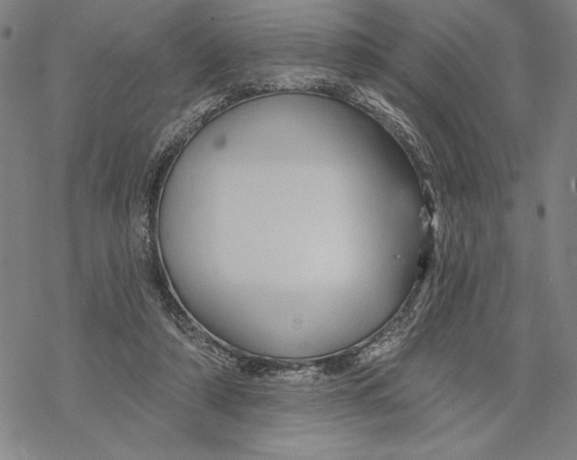 X0000068770306200605191655