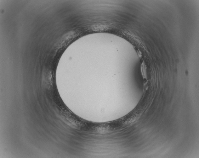 X0000068770308200605191655