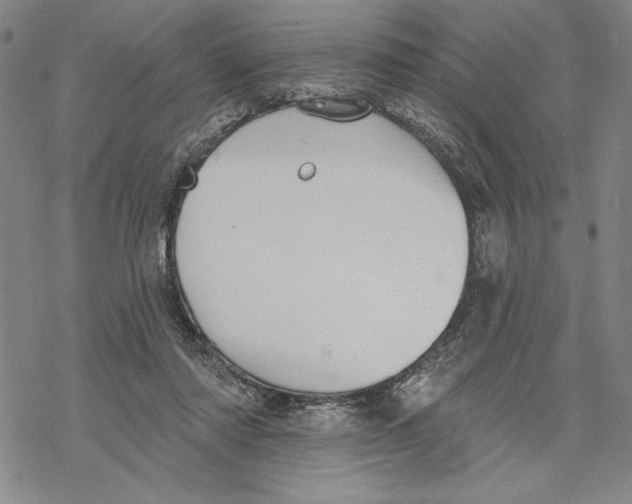 X0000068770310200605191655