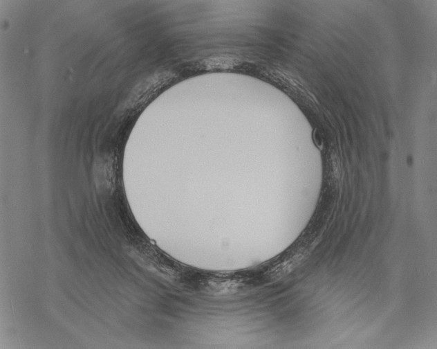 X0000068770311200605191655