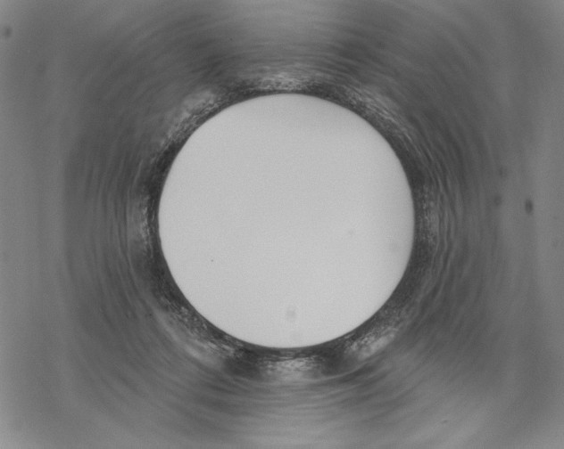 X0000068770312200605191655