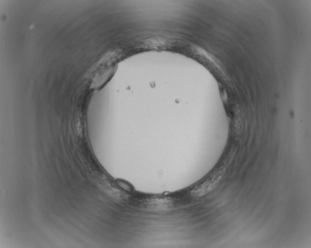 X0000068770313200605191655