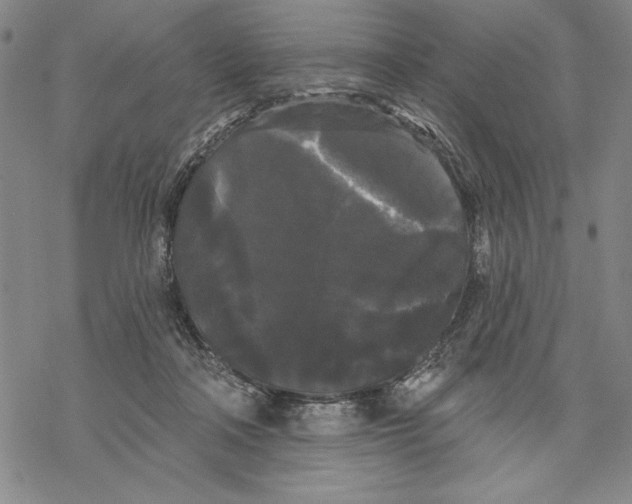 X0000068770314200605191654