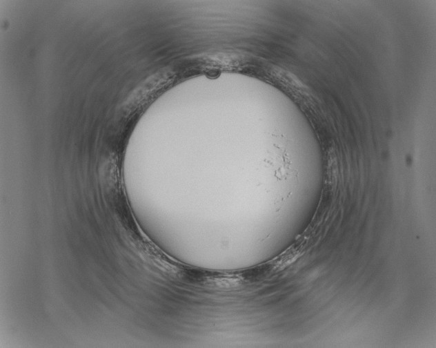 X0000068770318200605191654