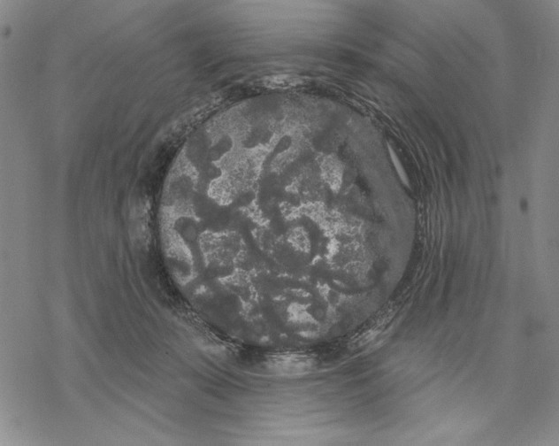 X0000068770319200605191654