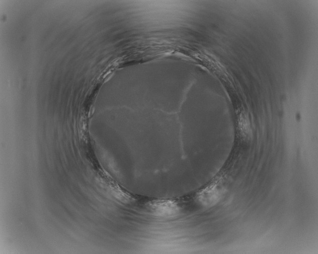 X0000068770322200605191654