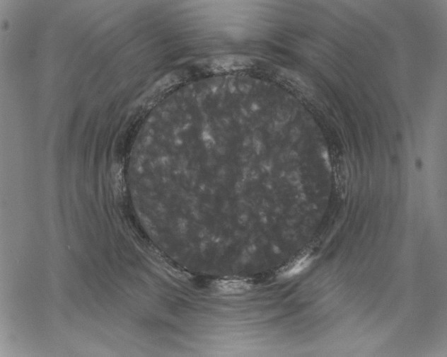 X0000068770327200605191654