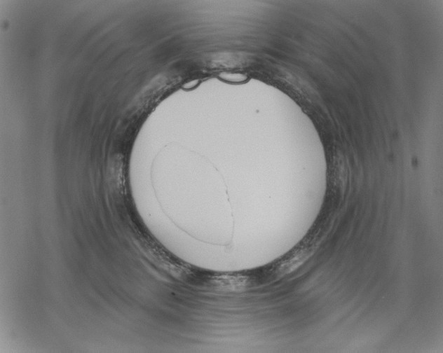 X0000068770328200605191654