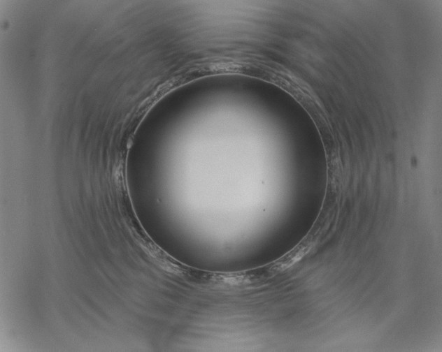 X0000068770329200605191654