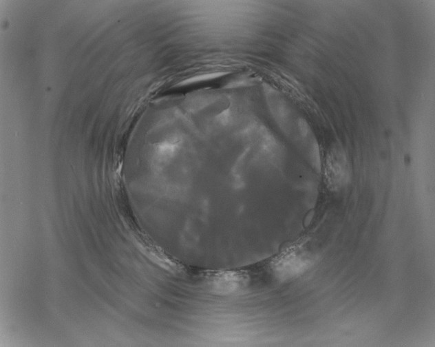 X0000068770330200605191654