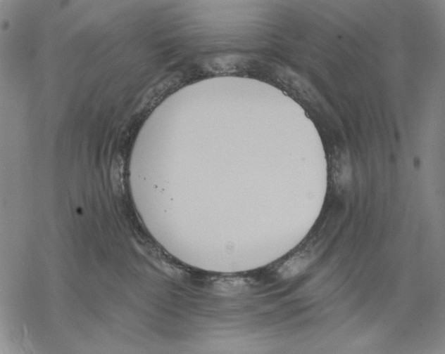 X0000068770332200605191654