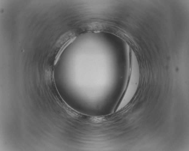 X0000068770333200605191654