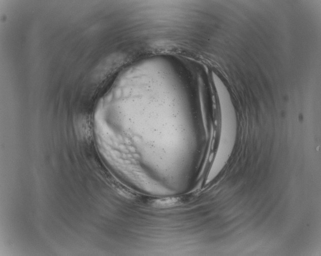 X0000068770335200605191654