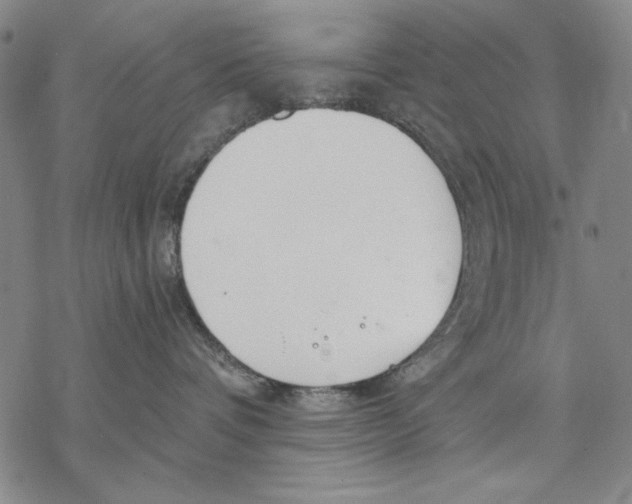 X0000068770336200605191654