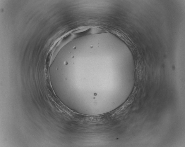 X0000068770338200605191653