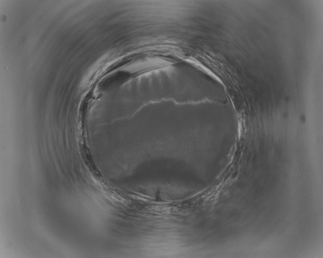 X0000068770339200605191653