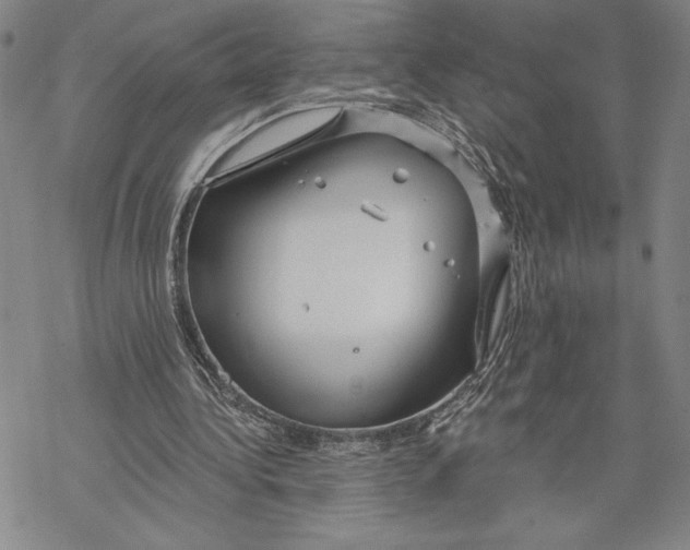 X0000068770340200605191653