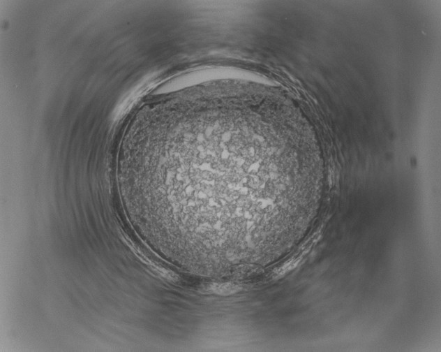 X0000068770341200605191653