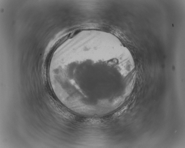 X0000068770343200605191653