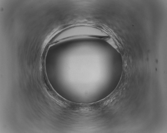 X0000068770344200605191653