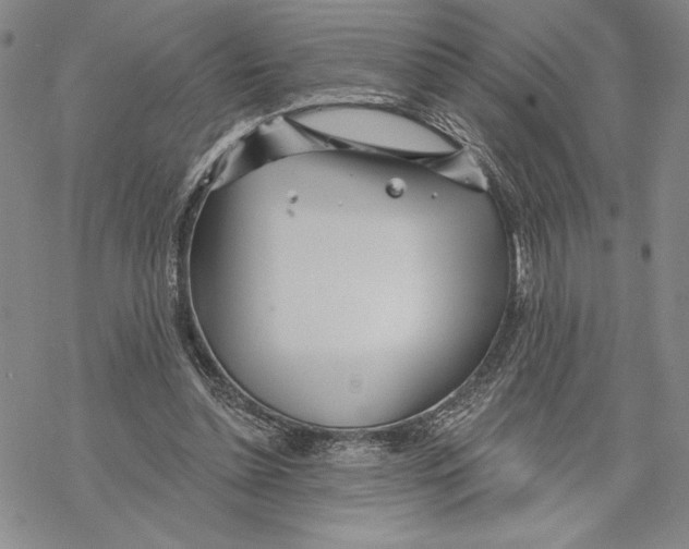 X0000068770348200605191654