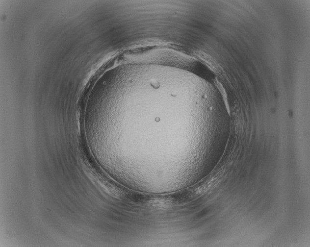 X0000068770350200605191654