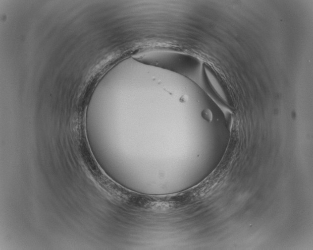 X0000068770352200605191654