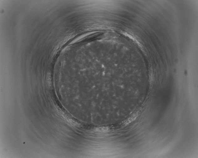 X0000068770353200605191654