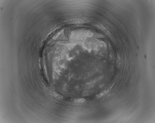 X0000068770355200605191654