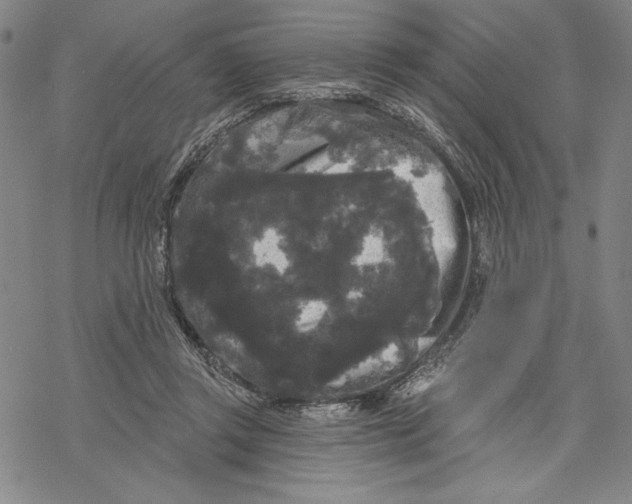 X0000068770357200605191654