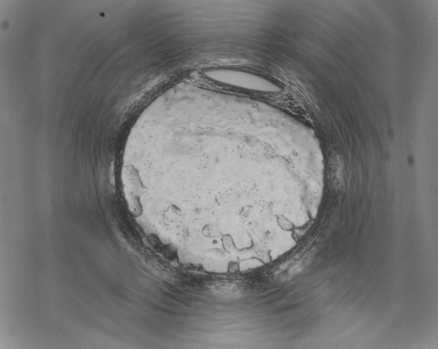 X0000068770358200605191654