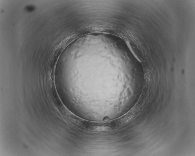 X0000068770360200605191654