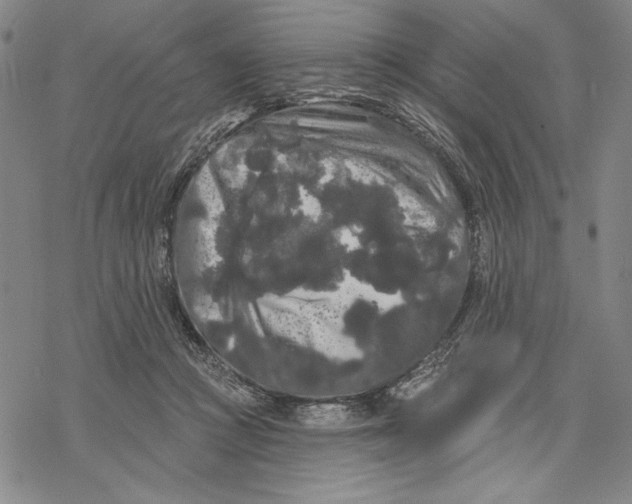 X0000068770361200605191654