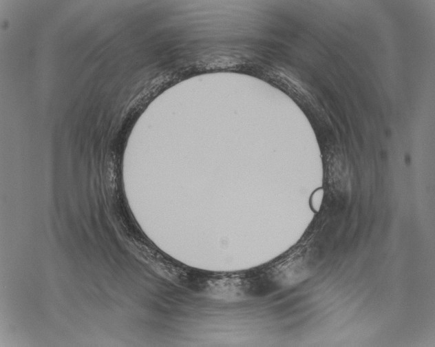 X0000068770362200605191654