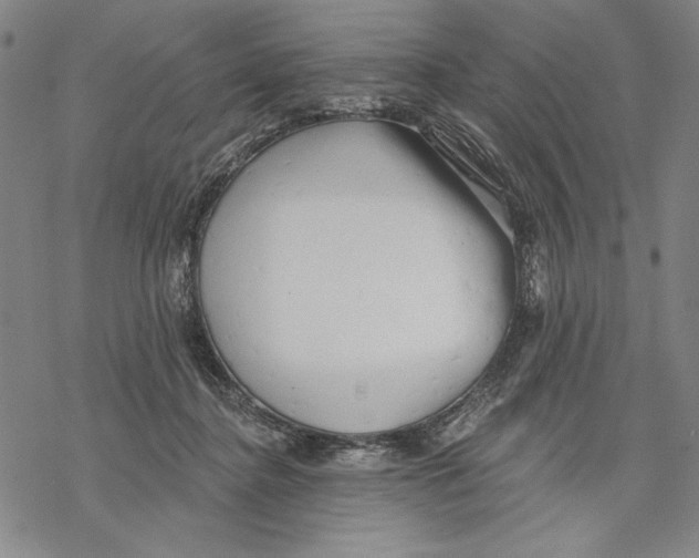 X0000068770364200605191654