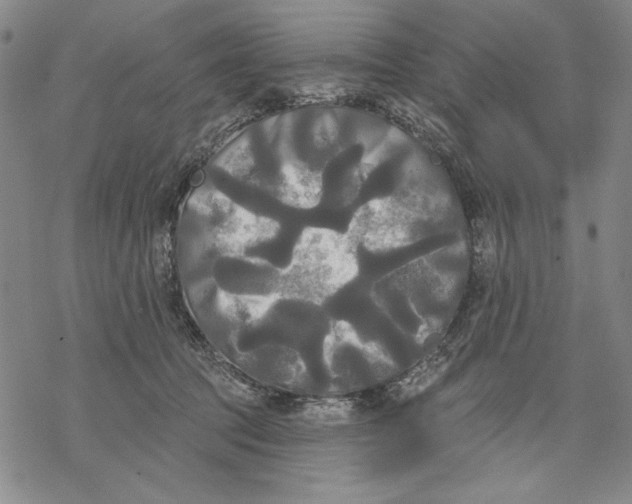 X0000068770369200605191654