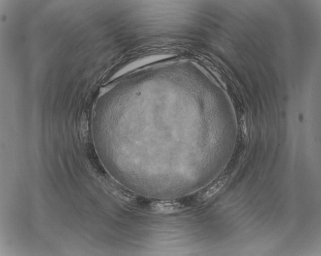 X0000068770372200605191654