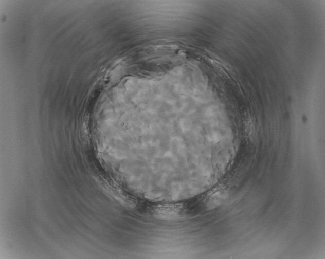 X0000068770373200605191654