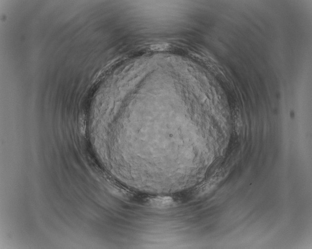 X0000068770374200605191654