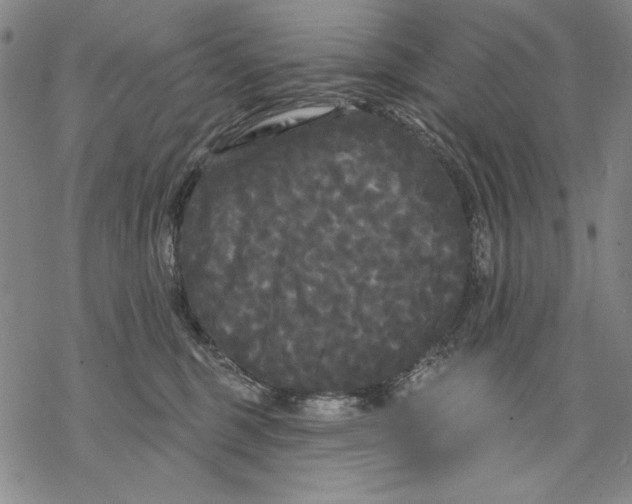 X0000068770375200605191654