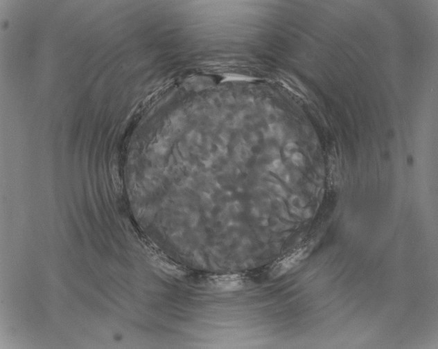 X0000068770377200605191654