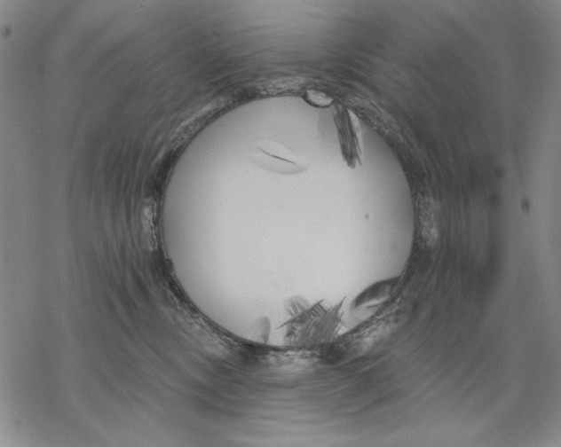 X0000068770378200605191654